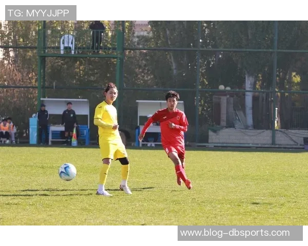 足球宁夏：探索宁夏足球的崛起与未来发展之路
